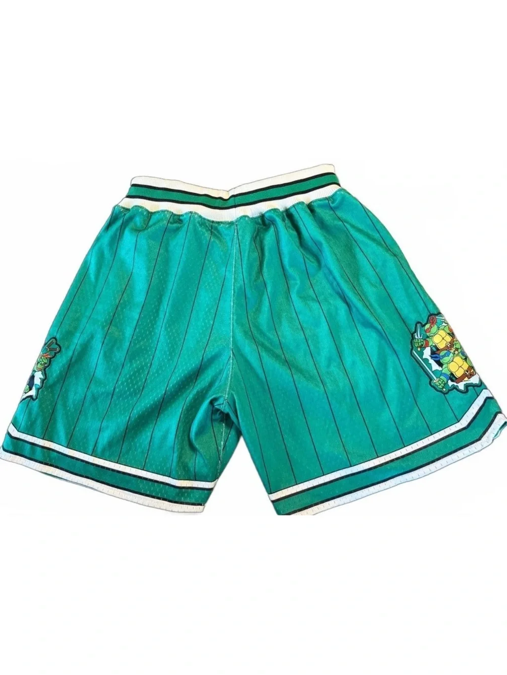 Teenage Mutant Ninja Turtles Mesh Basketball Shorts Adult Small